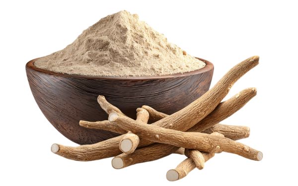 Morinda Root