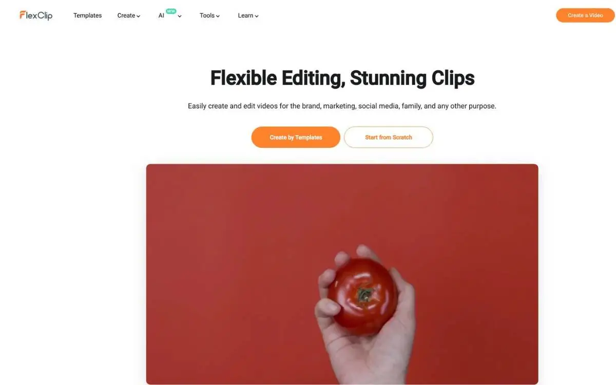 FlexClip